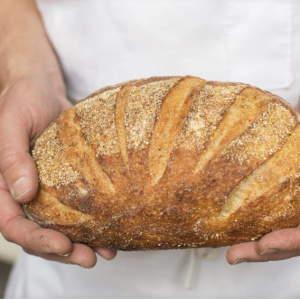 Screenshot 2025-02-01 at 10.35.37 AM